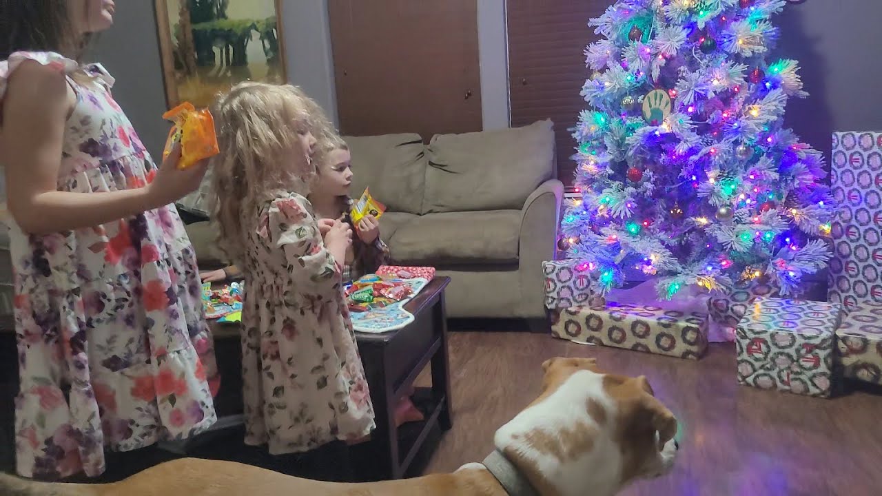 Лучшее Рождество, о котором только могла мечтать моя маленькая семья...
