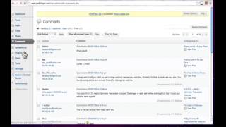 How Do I View and Approve User Comments on My Wordpress Blog