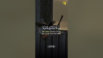 تلاوة خاشعة من سورة الأنبياء للقارئ جابر القيطان 💛 - راحة وسكينة لا توصف 😴❤️