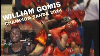 William Gomis : Championnats d&#39;Europe de Sanda 2014