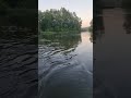 Вот оно удовольствие... кто кого? Эй жерех сдавайся...