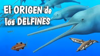 🐬Conoce el ORIGEN y EVOLUCIÓN de los Delfines! 🐬