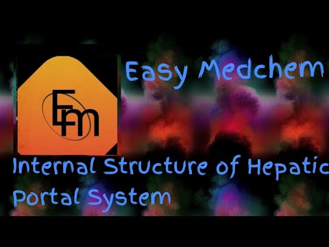 Internal Structure of Hepatic portal system