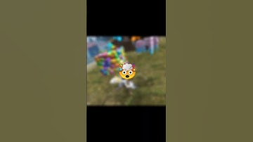 what is the screen freeze problem🤔