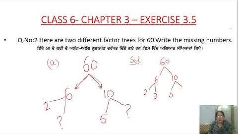Class 6- Math/Chapter 3/Exercise 3.5/Q.No.2#Playing With Numbers