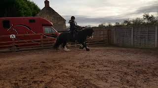 Ad ref 243288 Video 3