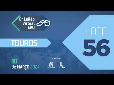 LOTE 56   EAO B8596,8617