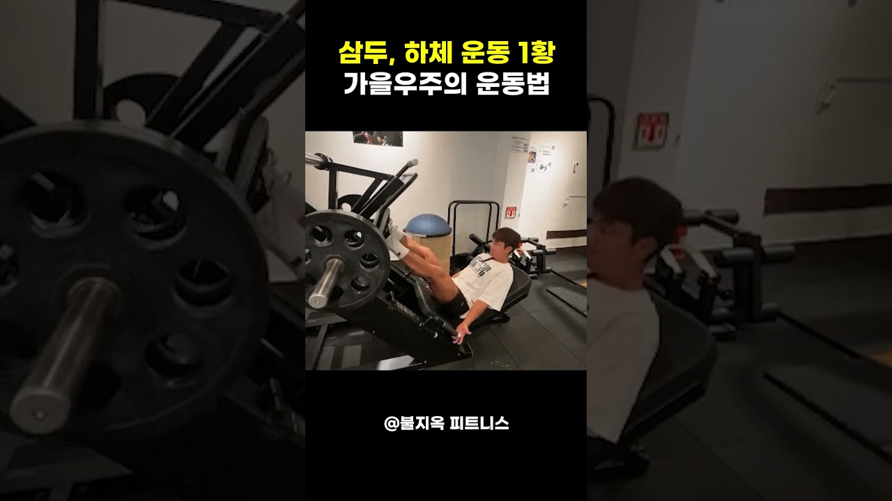 박재훈보다 잘한다? 가을우주의 삼두, 하체 운동법이 1황인 이유 #shorts