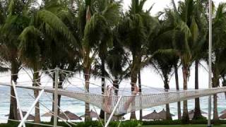 Jezz - flying trapeze backend planche catch