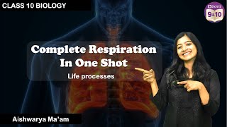 Complete Respiration in One Shot | Life Processes - L3| Class 10 Science| CBSE Boards 2025