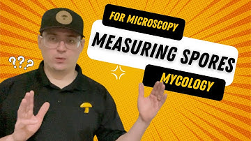 Measuring Mushroom Spores with a Microscope