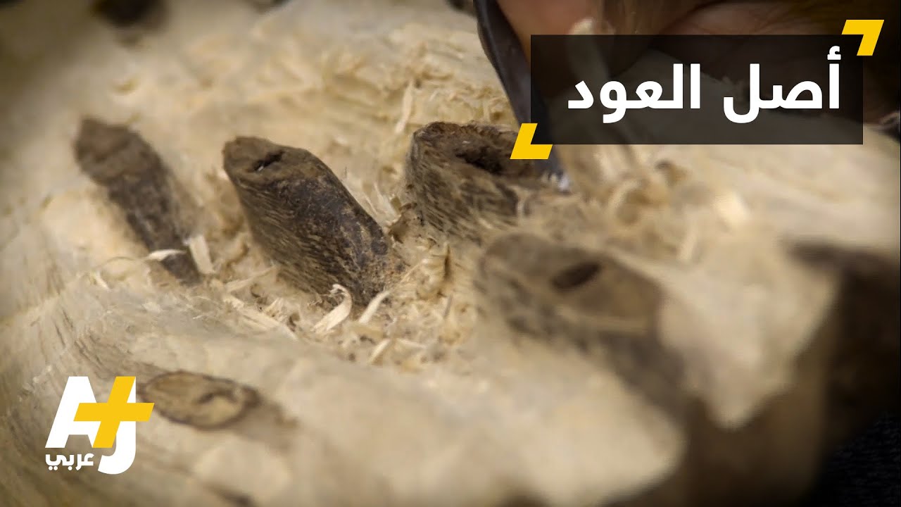 ما هو أصل بخور العود؟
