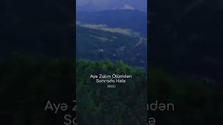 Zarafat Gelmesin Sene Bu Dunya Əşfet Şfet