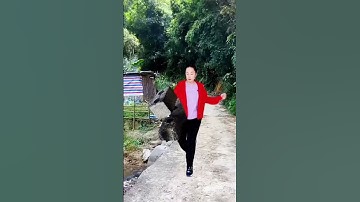 Funny photoshoot One-click cut the same style, Please do not imitate the video Photo shoot is fun