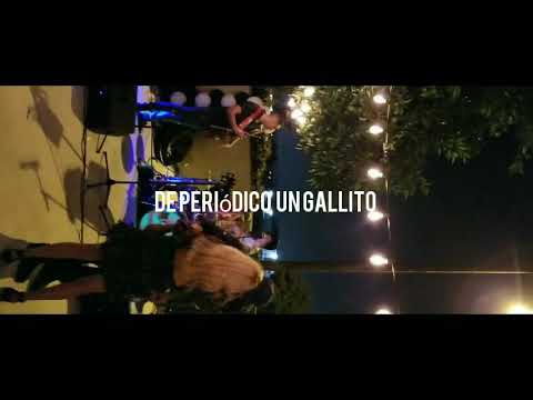 Grupoj4 - De Periódico Un Gallito