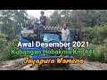 Awal Desember 2021 di Kubangan Hobakma - Km 448 Jayapura Wamena || 03°46'15,77"S 139°25'02,54"E
