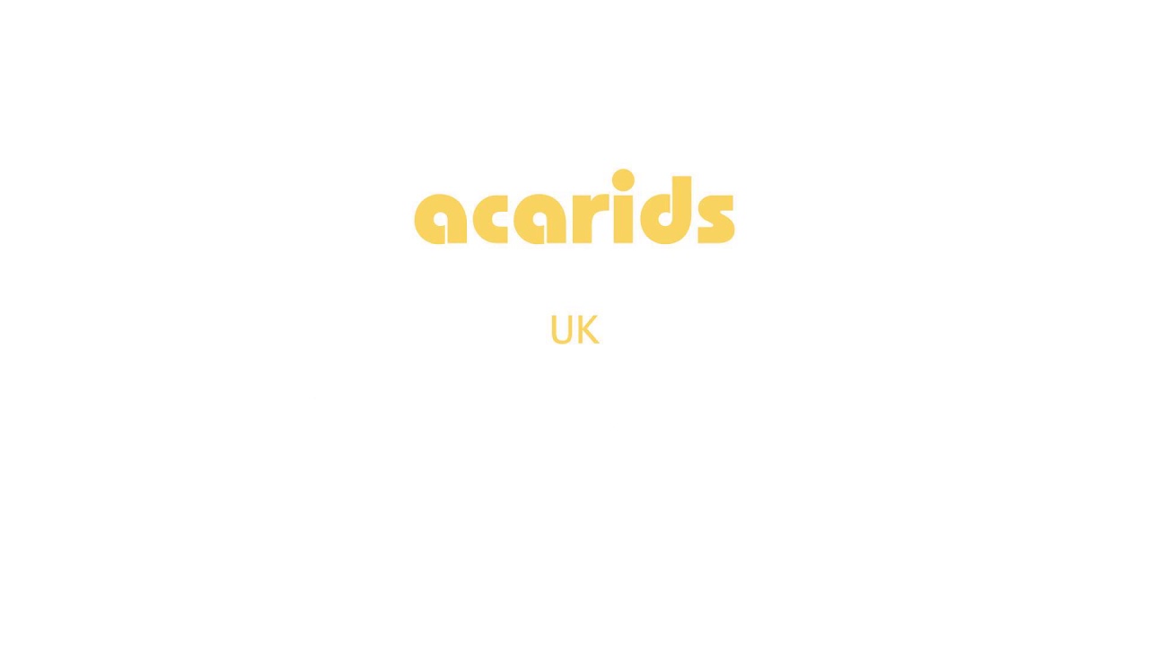 How to Pronounce acarids