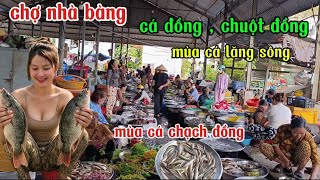 Chợ nhà bàng, núi 7  , toàn món đặc sản đồ đồng .