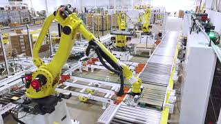 Multi-Lane Palletizing Solution