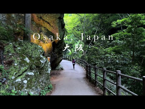 Escape the summer heat: Osaka Minoh secret place one-day tour | Summer resorts around Osaka and ...