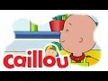 Caillou Caillou Makes A Meal S05E04 Cartoon For Kids 