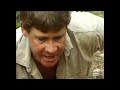 Steve Encounters a Deadly Venomous Cobra! | The Crocodile Hunter | Animal Planet