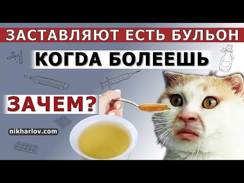 Больные животные отказываются от еды и воды… А почему в советской медицине заставляли пить бульоны?