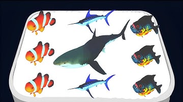 MAX LEVEL in Fish Rush! Game ⚜️ Merge Master