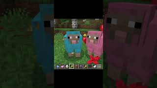 Minecraft Sheep Genetic Are Too Cute #minecraft #shorts
