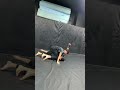 Wall wrestling rounds