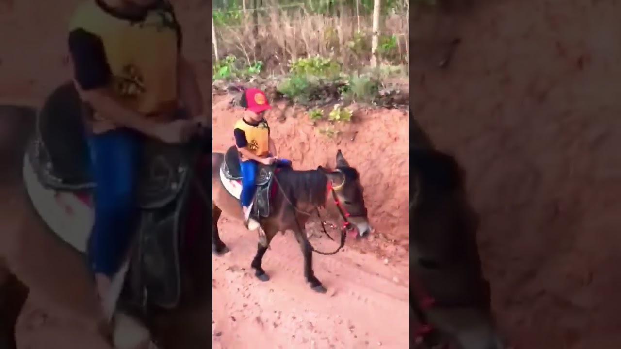 cavalgando na pônei