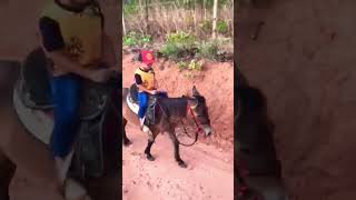 Cavalgando Na Pônei