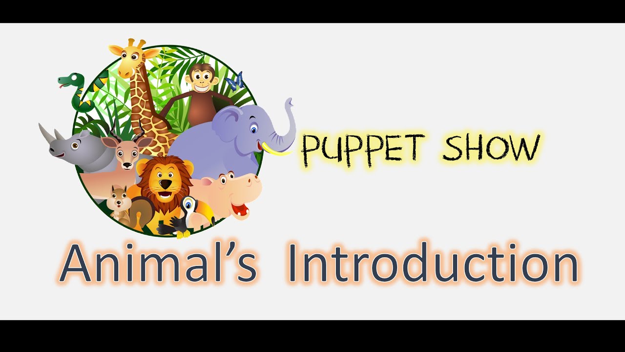 Animals Introduction || Puppet Show - YouTube