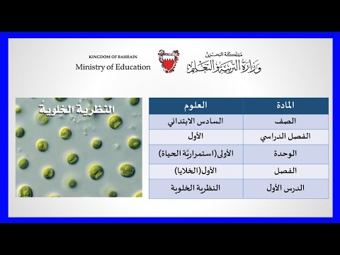 العلوم للصف السادس الإبتدائي النظرية الخلوية