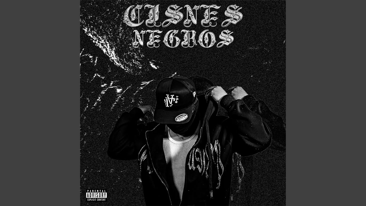 CISNES NEGROS