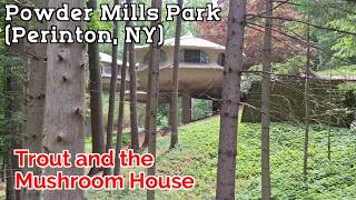🐟 Many Trout and The Mushroom House | Powder Mills Park (Perinton, NY) 🍄