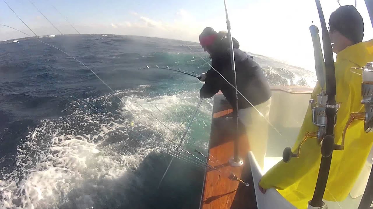 CANYON RUNNER with A-SALT WEAPON