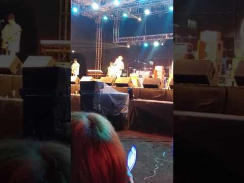 10/1 버즈 Star 빅필드 락페스티벌