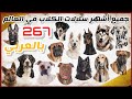 تعرف على أكثر من 267 سلالات الكلاب الأكثر شعبية في العالم  بالعربي