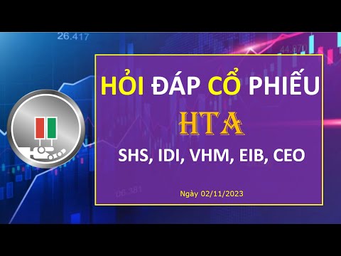 02.11.2023: HỎI ĐÁP CỔ PHIẾU CÙNG HTA - SHS, IDI, VHM, EIB, CEO