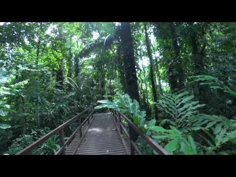 4K video: Penang,