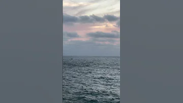 إ ن ه م ي ر و ن ه ب ع يد ا و ن ر اه ق ر يب ا الشيخ كامل يوسف البهتيمي 