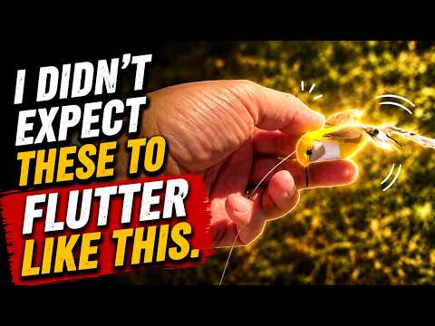 Solar Fluttering Hummingbird Review | BURIUS Garden Decor Stakes