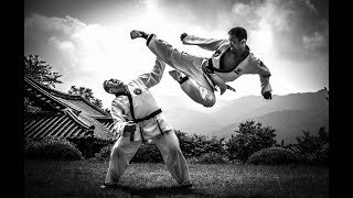 Grandmaster Ju Ung Seo (주웅서) - Hapkido/Taekgyeon - Eul Ji Kwan - Korean Martial Arts & Self Defense