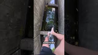 This Girl Made A Big Mistake