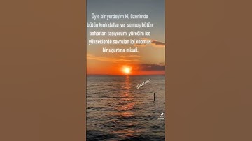 Thumbnail of Öyle Bir Yerdeyim Ki#öylebiryerdeyimki