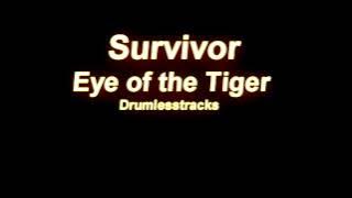 Survivor - Eye of the Tiger [Drumlesstrack]
