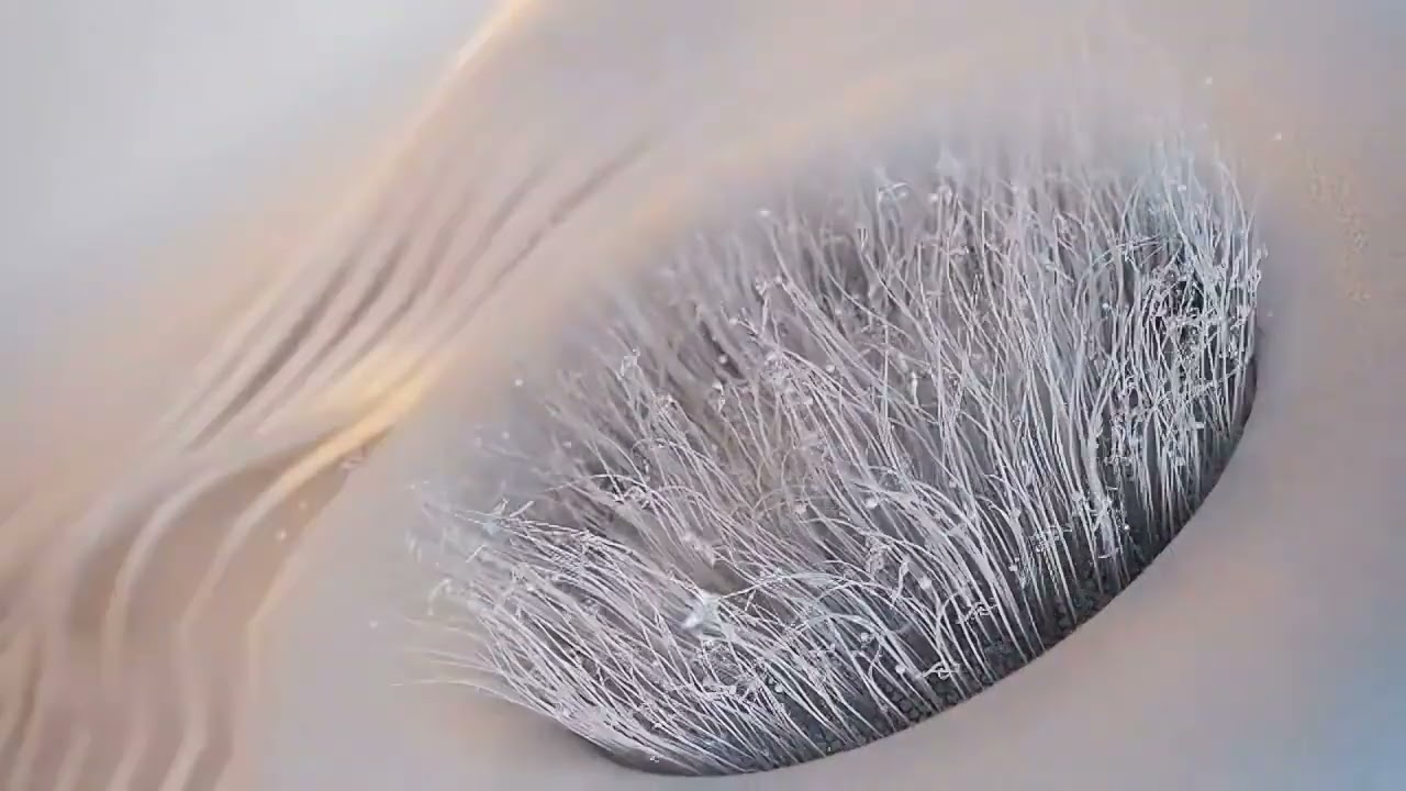 Altraaznusa Developing Valuable Brand Design GREENSTAR AIRLINES 3