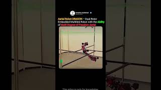 Aerial Robot DRAGON – Dual-Rotor Embedded Multilink Robot