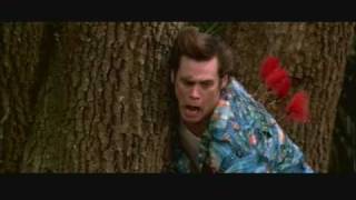 funny scene Ace Ventura When Nature Calls